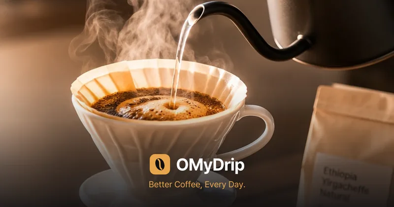 OMyDrip — 맛있는 한 잔의 핸드드립 커피
